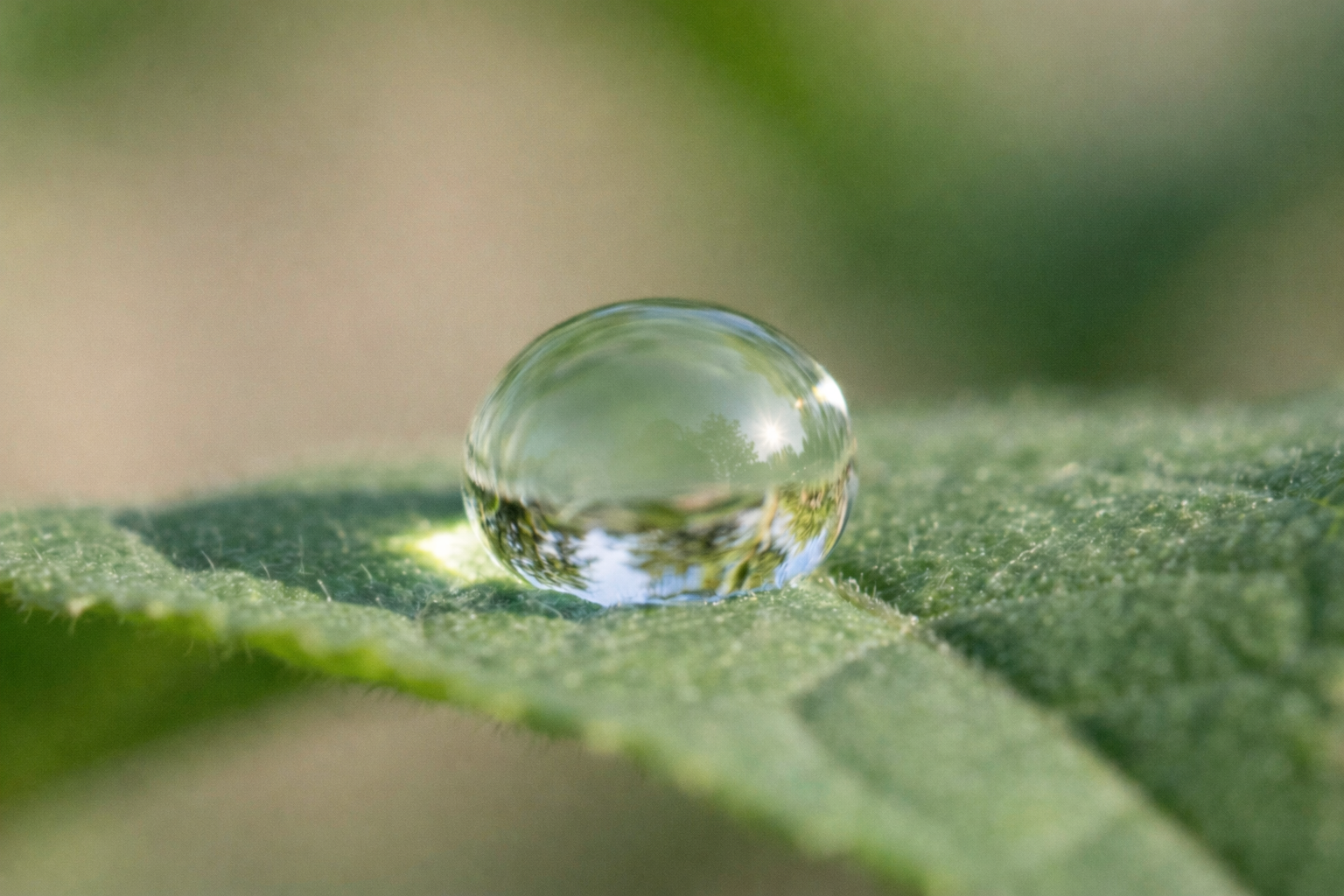 Farkındalık meditasyonu - mindfulness egzersizleri
