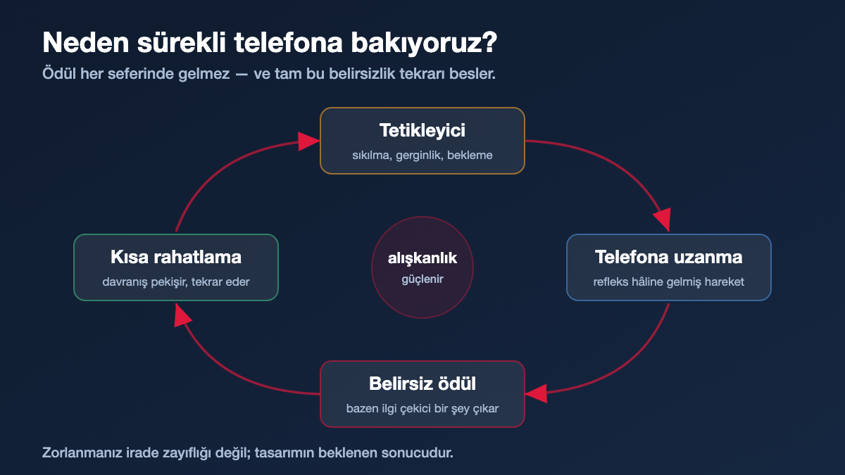 Telefon bağımlılığında değişken ödül döngüsü: tetikleyici, uzanma, belirsiz ödül, kısa rahatlama